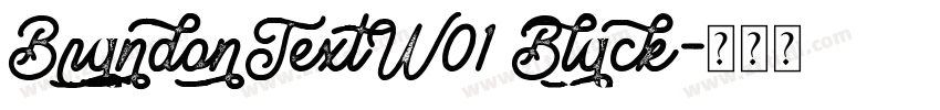 BrandonTextW01 Black字体转换